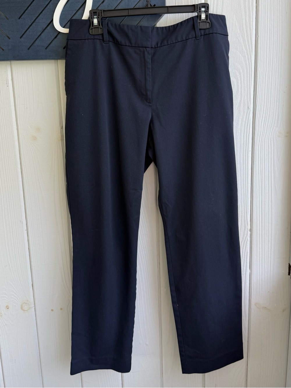 Ann Taylor Navy Curvy Pants